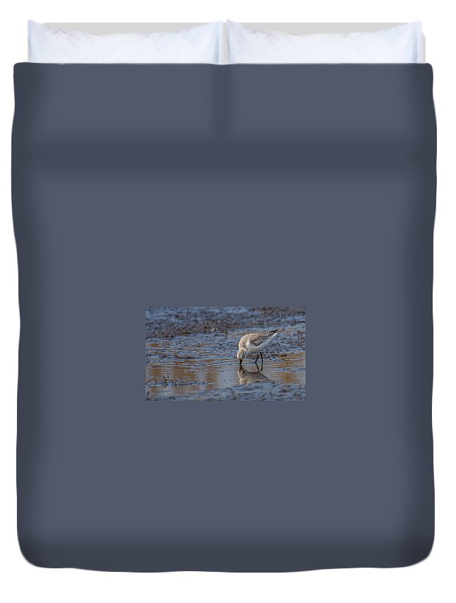 Plover Duvet Cover featuring the photograph Plover by Stacy Abbott