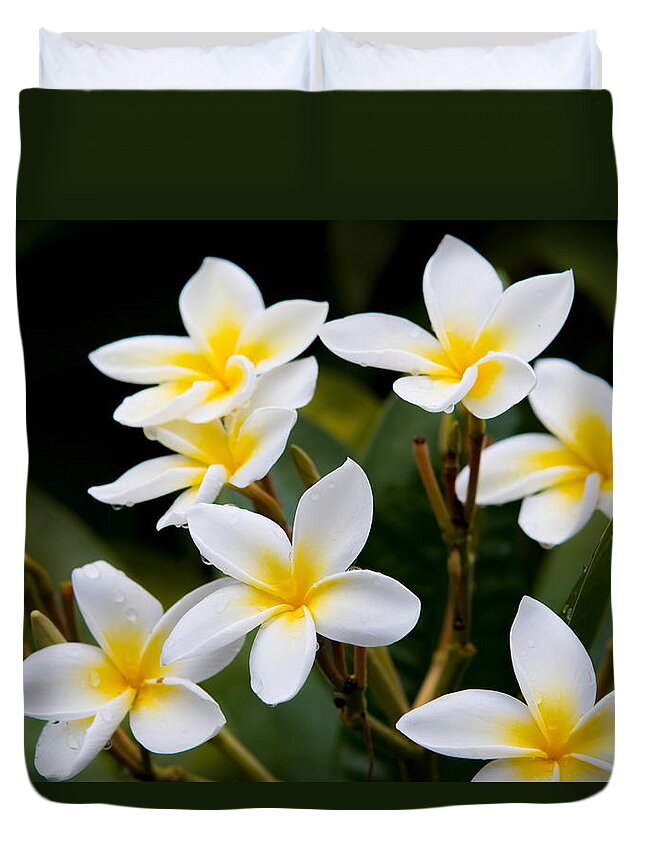 Tropical Duvet Cover featuring the photograph Plumeria Frangipani by Duncan Selby