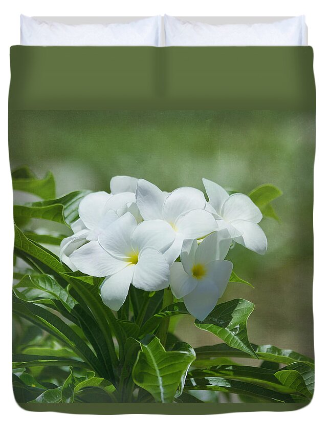 Plumeria Duvet Cover featuring the photograph Plumeria - Tropical Flowers by Kim Hojnacki