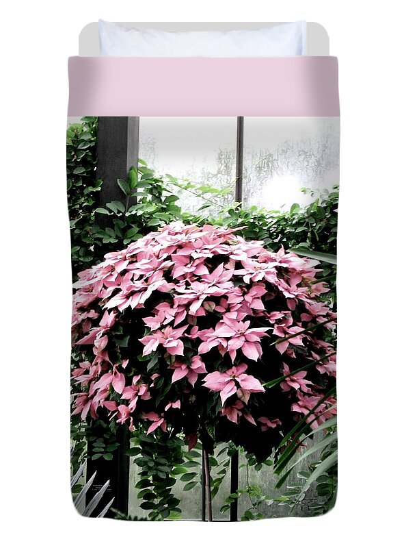 Pink Poinsettias Duvet Cover featuring the photograph Poinsettia Tree Longwood Gardens by Angela Davies