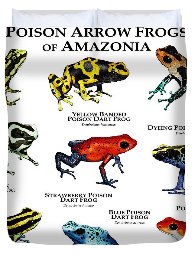 Amazonia Duvet Cover featuring the photograph Poison Dart Frogs Of Amazonia by Roger Hall