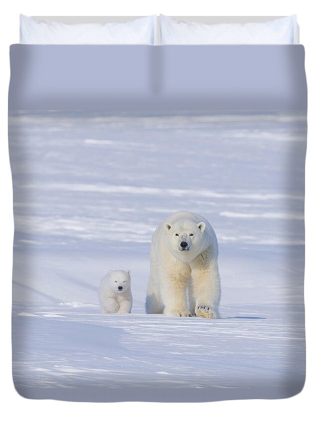 Kazlowski Duvet Cover featuring the photograph Polar Bear Sow With Spring Cub by Steven Kazlowski