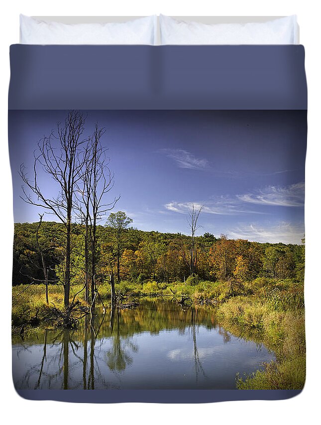 Pond Duvet Cover featuring the photograph Pond in Autumn by Fran Gallogly