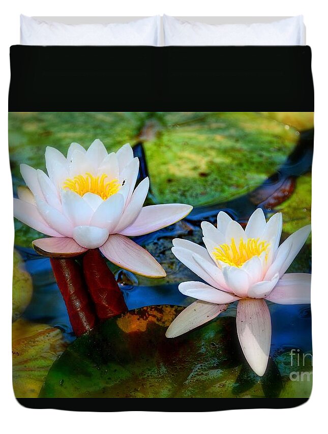 Pond Lily Duvet Cover featuring the photograph Pond Lily by Patrick Witz
