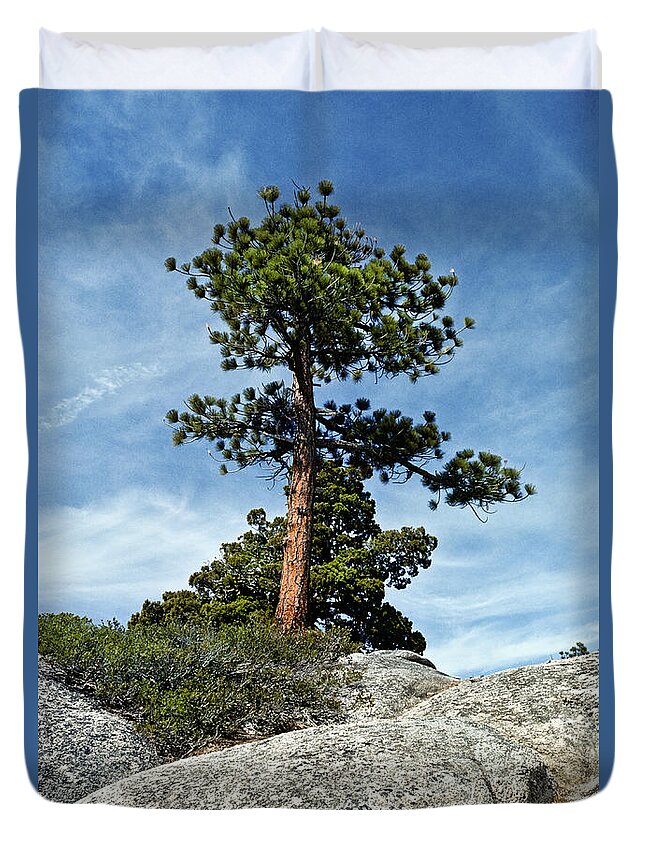 Beauty In Nature Duvet Cover featuring the photograph Ponderosa Pine and Granite Boulders by Jeff Goulden