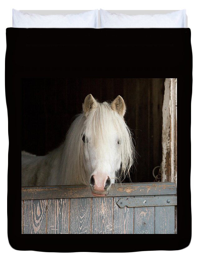 Horse Duvet Cover featuring the photograph Pony by Peter Chadwick Lrps