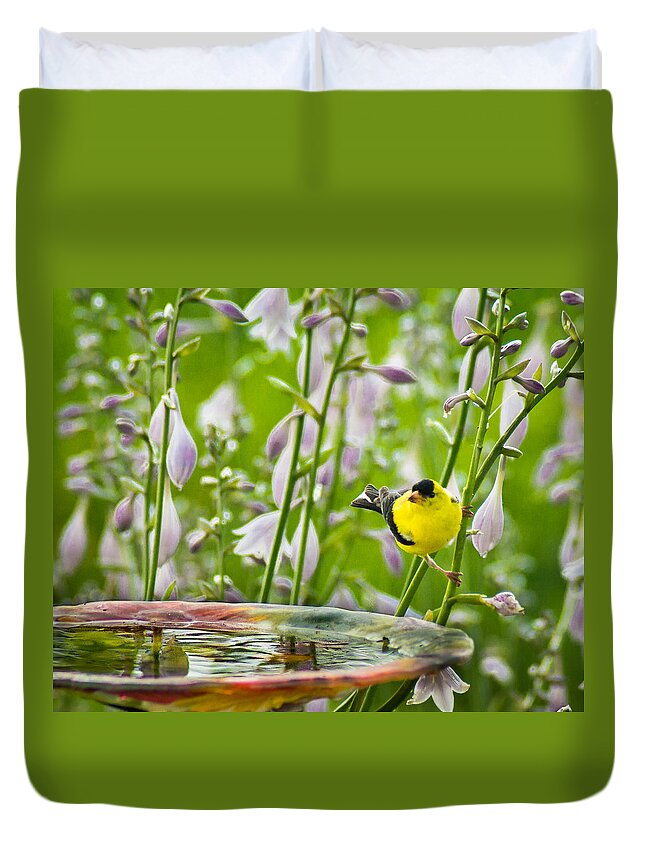 Bird Duvet Cover featuring the photograph Poolside Perch by Bill Pevlor