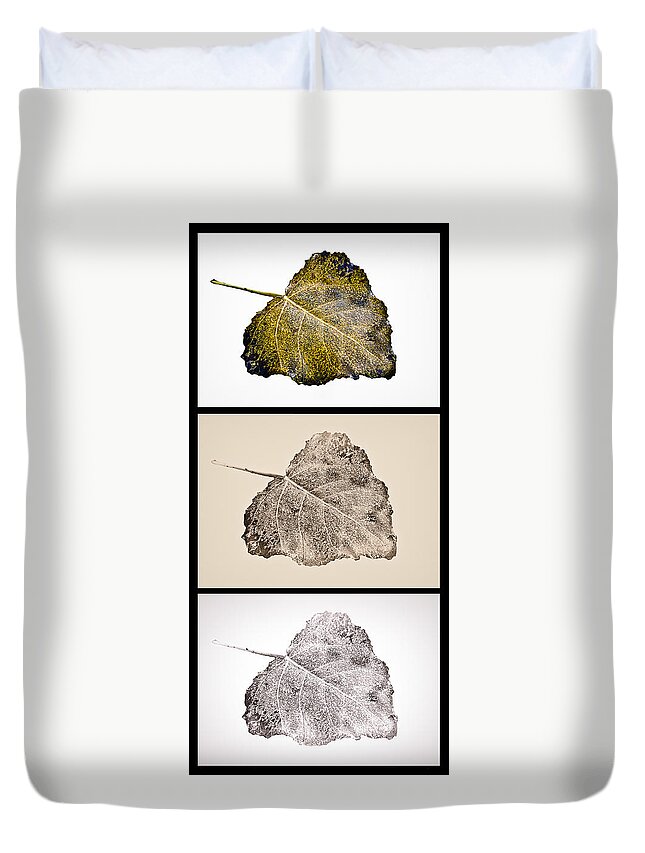 Poplar Leaf 3xt Vertical-blkborder Duvet Cover featuring the photograph Poplar Leaf 3xT vertical-blkborder by Greg Jackson