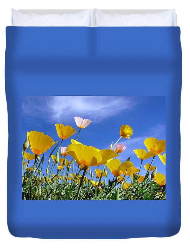 Arizona Duvet Cover featuring the photograph Poppies and Blue Arizona Sky by Lucinda Walter