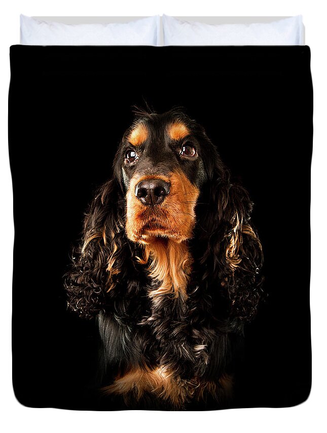 Pets Duvet Cover featuring the photograph Portrait Of A Black And Tan English by Andrew Davies