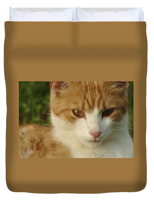 Amber Duvet Cover featuring the photograph Portrait of a stern looking cat by Ulrich Kunst And Bettina Scheidulin