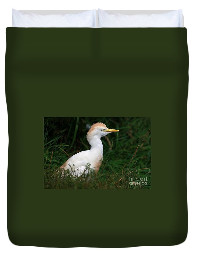 Portrait Duvet Cover featuring the photograph Portrait of a white egret by Nick Biemans