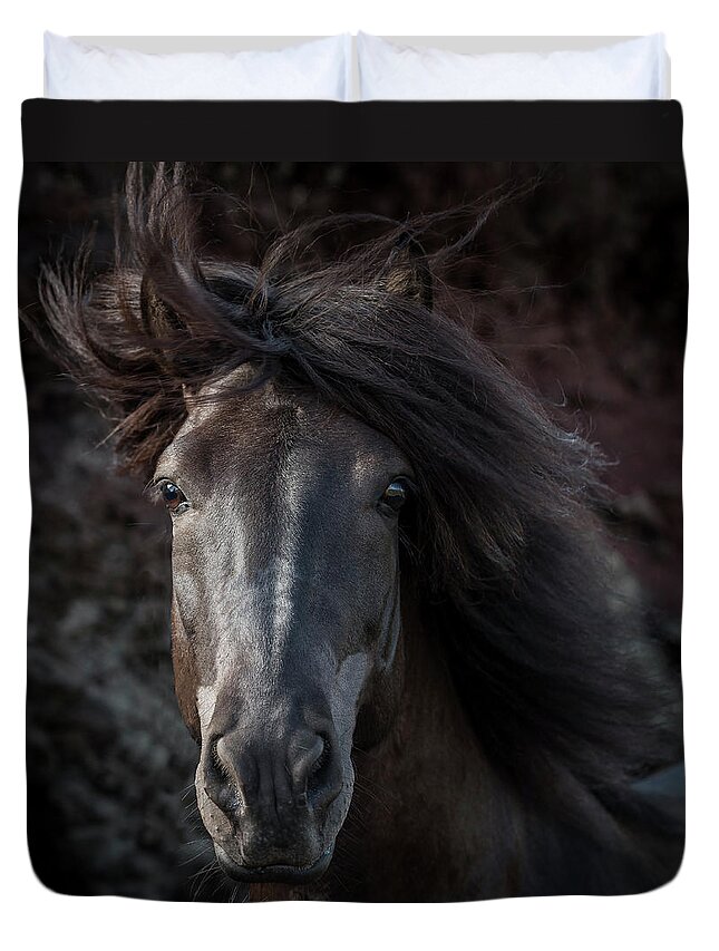 Wind Duvet Cover featuring the photograph Portrait Of Icelandic Stallion, Iceland by Arctic-images
