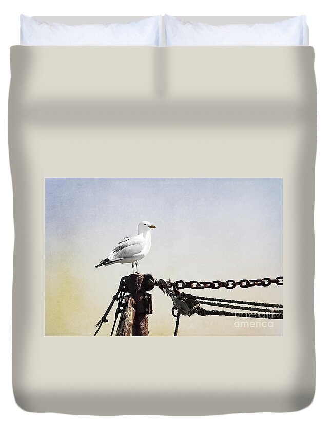 Maine Duvet Cover featuring the photograph Posed by Karin Pinkham