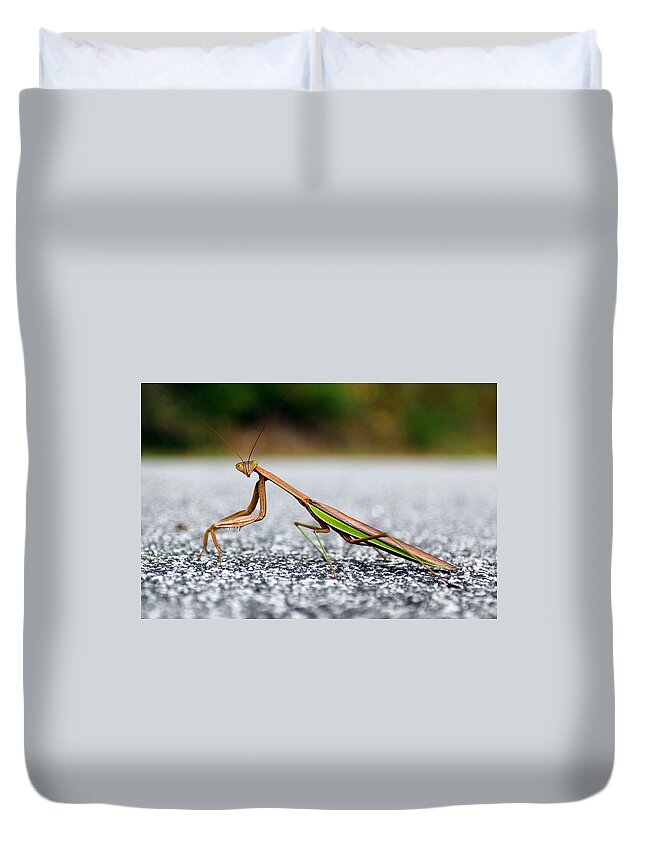 Insects Duvet Cover featuring the photograph Posing for the Camera by Jennifer Robin