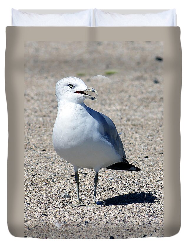 Gull Duvet Cover featuring the photograph Posing Gull by Debbie Hart