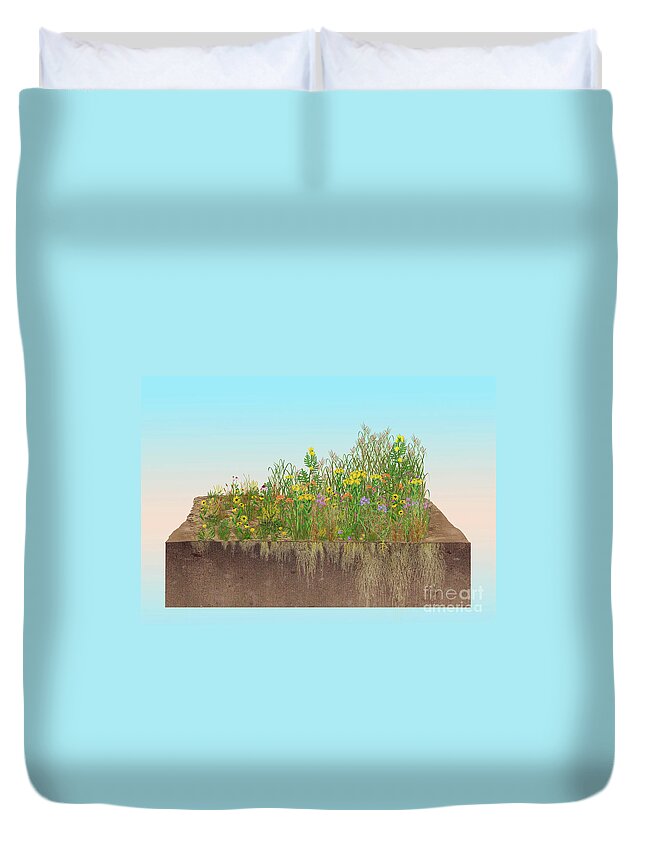 Prairie Duvet Cover featuring the photograph Prairie Plants Succession, Illustration by Carlyn Iverson