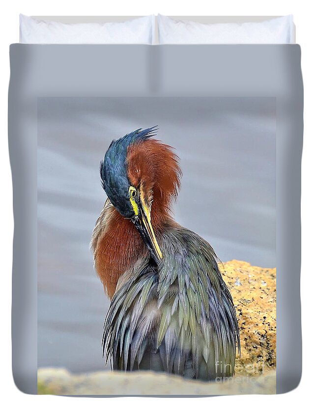 Heron Duvet Cover featuring the photograph Preening Green Heron by Kathy Baccari
