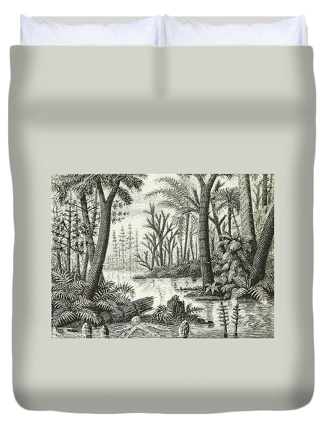 Historic Duvet Cover featuring the photograph Prehistoric Flora, Carboniferous by British Library