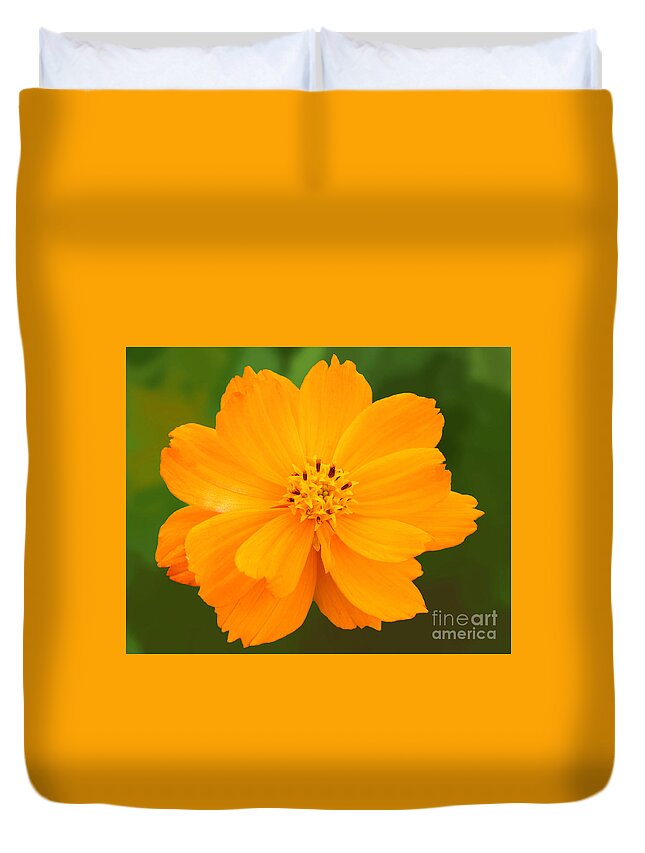 Flora Duvet Cover featuring the photograph Pretty in Orange by Mariarosa Rockefeller