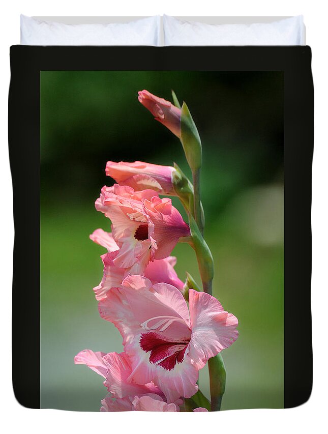 Flower Duvet Cover featuring the photograph Pretty in Pink by David Hart