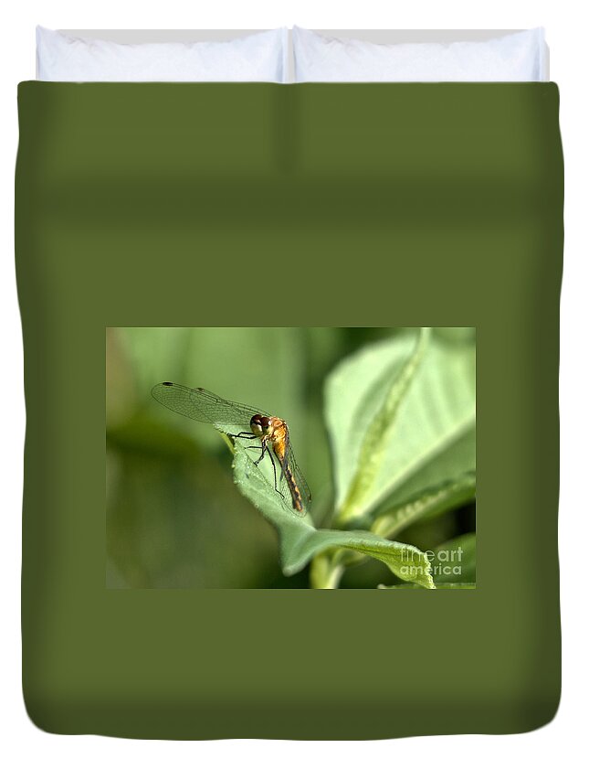 Red Darter Duvet Cover featuring the photograph Pretty Lady by Cheryl Baxter
