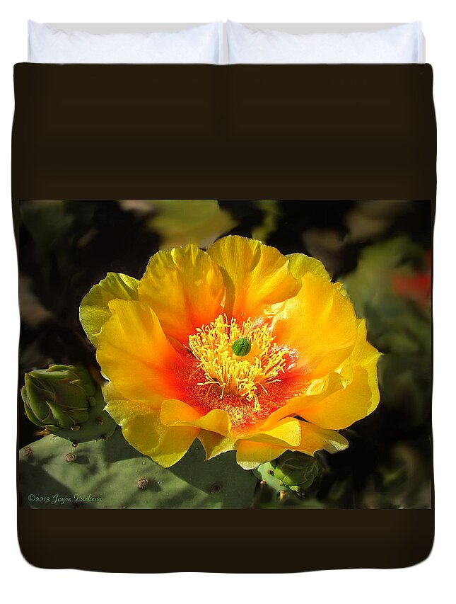 Cacti Duvet Cover featuring the photograph Prickly Pear Blossom by Joyce Dickens
