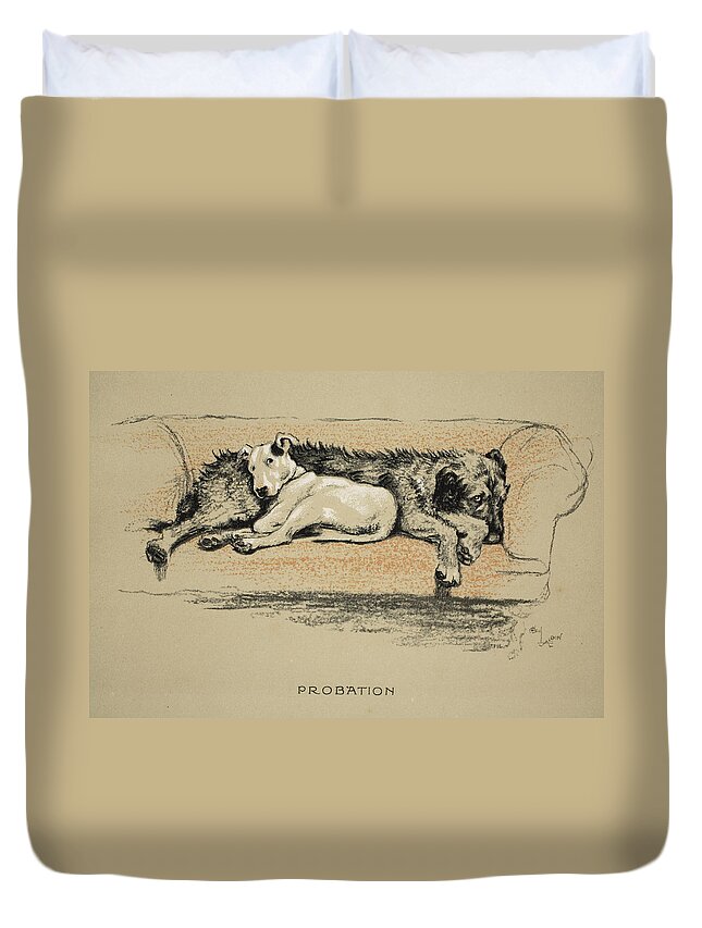 Dogs Duvet Cover featuring the drawing Probation, 1930, 1st Edition by Cecil Charles Windsor Aldin