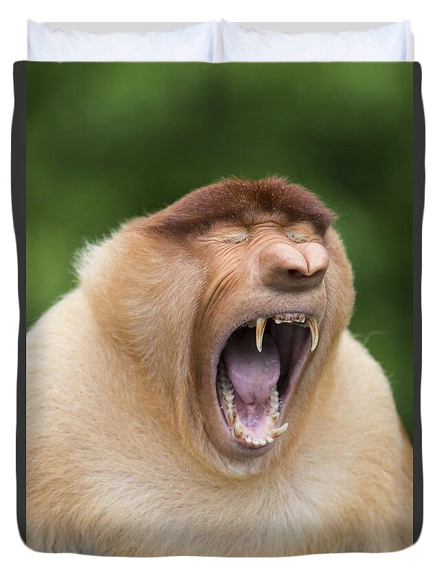 Suzi Eszterhas Duvet Cover featuring the photograph Proboscis Monkey Dominant Male Yawning by Suzi Eszterhas