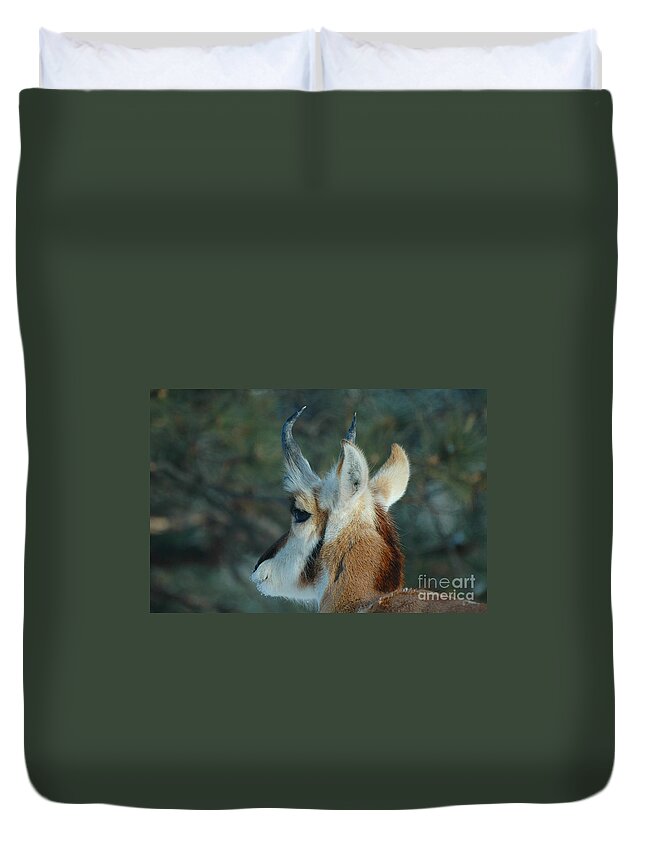 Pronghorn Duvet Cover featuring the photograph Pronghorn Profile by Joan Wallner