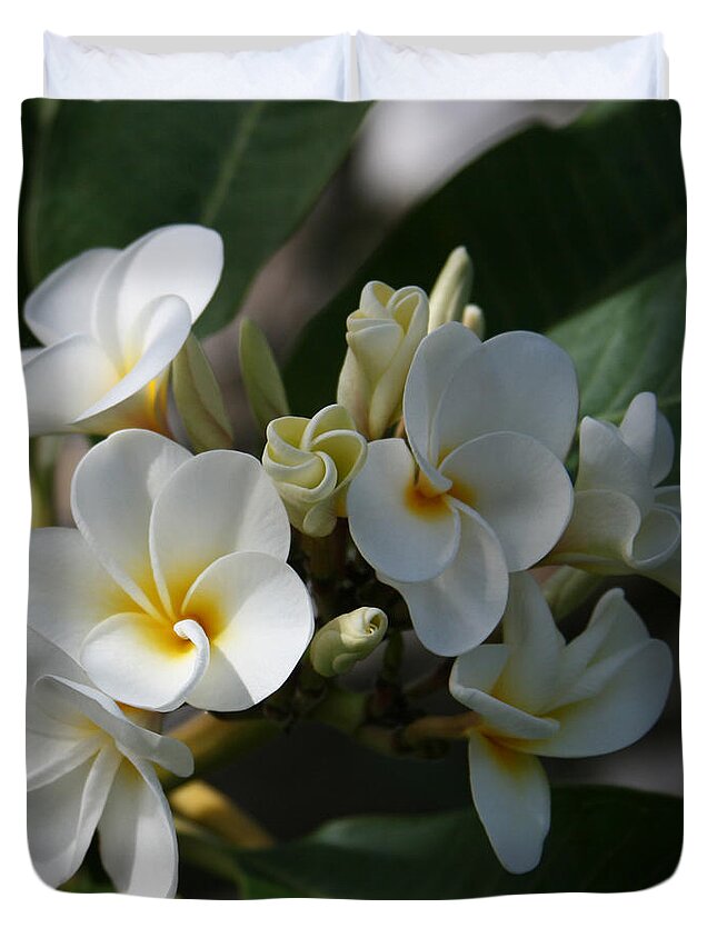 Aloha Duvet Cover featuring the photograph Pua Melia Na Puakea Onaona Tropical Plumeria by Sharon Mau