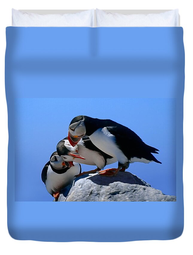 Puffins Duvet Cover featuring the photograph Puffins Discussin by Marty Saccone