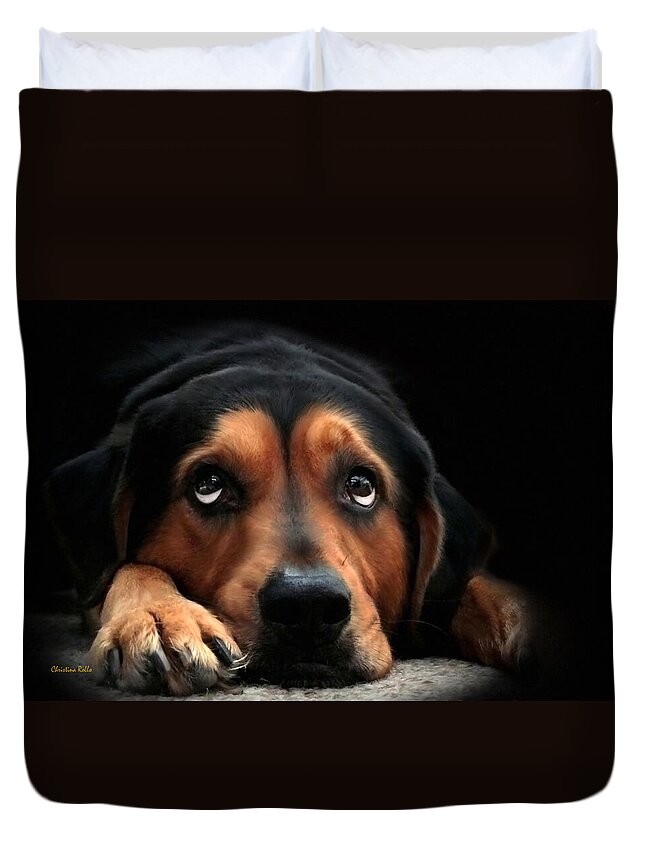 Dog Duvet Cover featuring the mixed media Puppy Dog Eyes by Christina Rollo