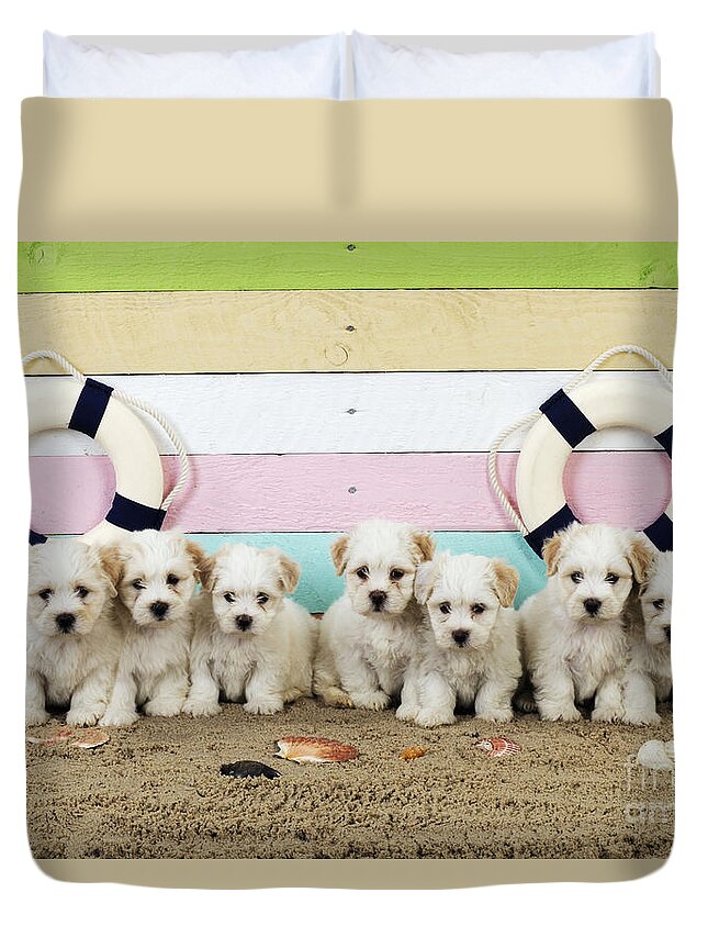 Dog Duvet Cover featuring the photograph Puppy Dogs At The Beach by John Daniels