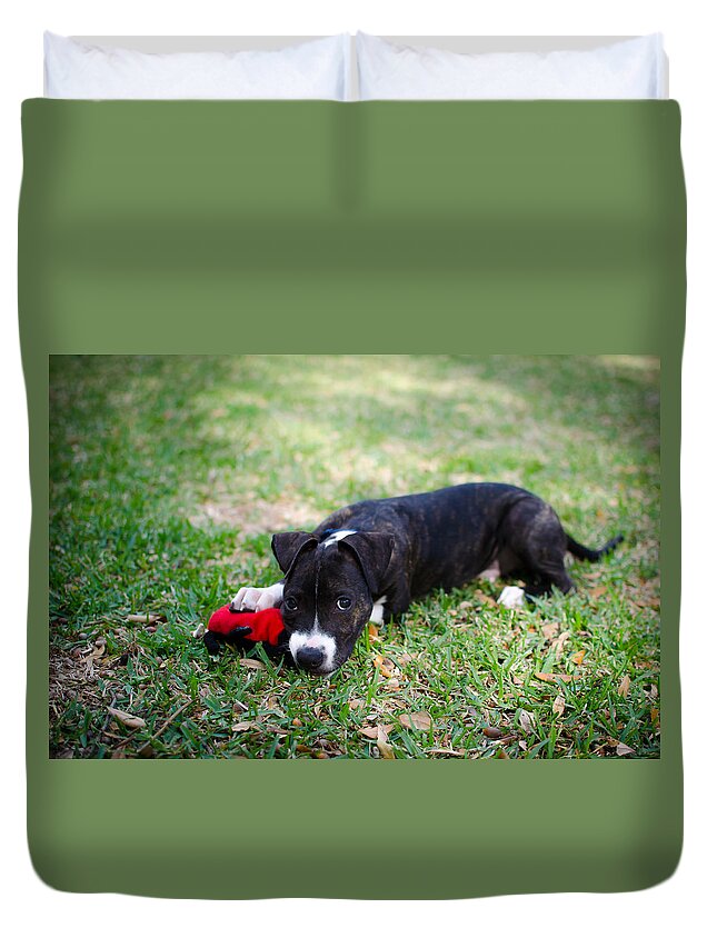 Puppy Duvet Cover featuring the photograph Puppy Eyes by David Morefield