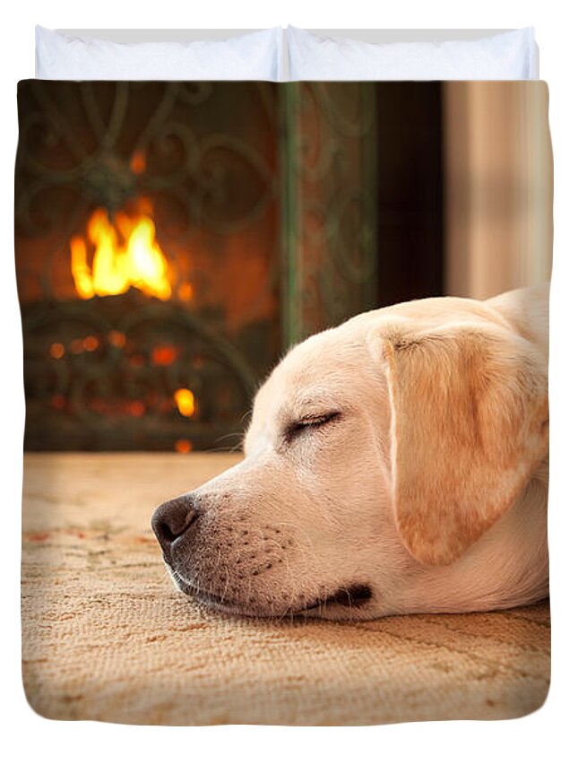 Puppy Duvet Cover featuring the photograph Puppy Sleeping by a Fireplace by Diane Diederich