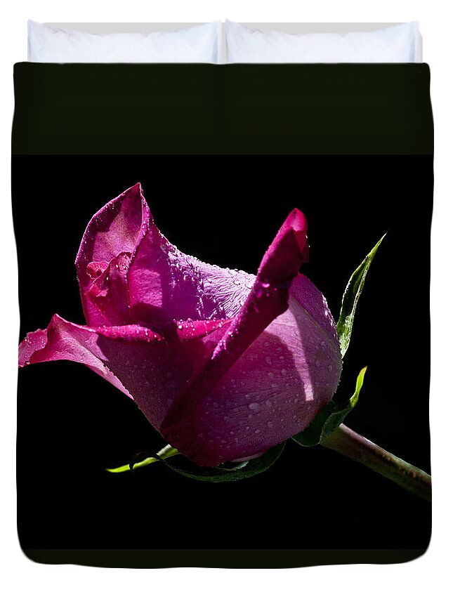 Rose Duvet Cover featuring the photograph Pure Pink by Doug Norkum