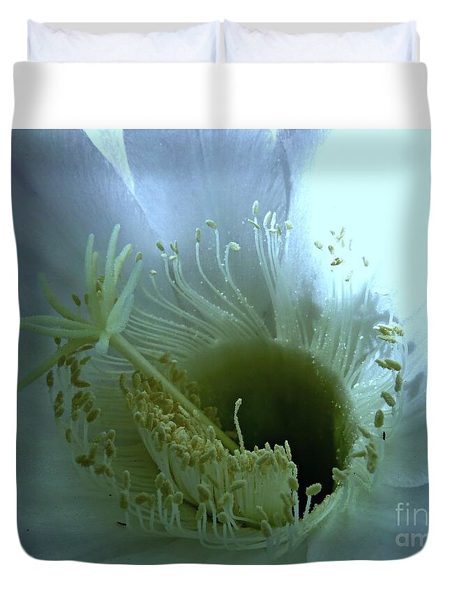 Cactus Flower Duvet Cover featuring the photograph Purity by Leanne Seymour