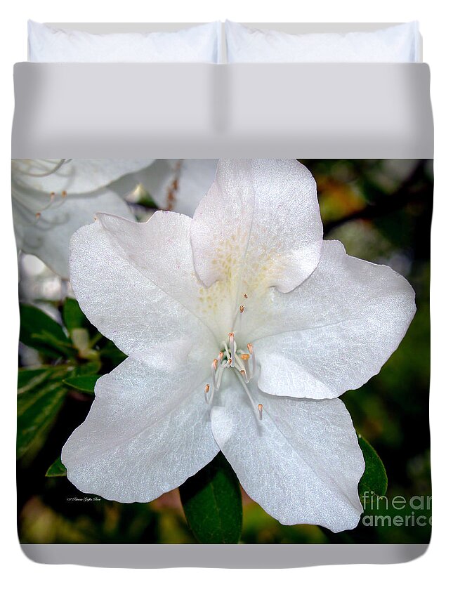 Flower Photography Duvet Cover featuring the photograph Purity by Patricia Griffin Brett