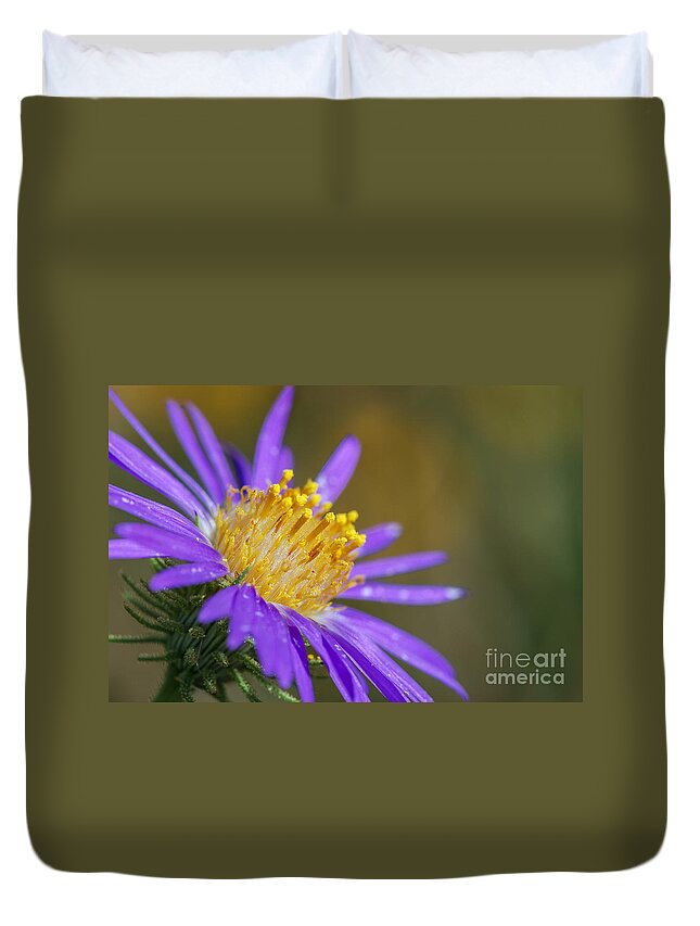 Al Andersen Duvet Cover featuring the photograph Purple Aster 1 by Al Andersen