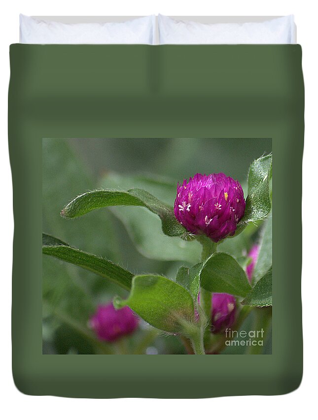 Flowers Duvet Cover featuring the photograph Purple Ball by Sharon Elliott