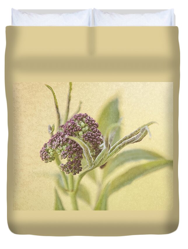 Bud Duvet Cover featuring the photograph Purple Bud by Sue Capuano