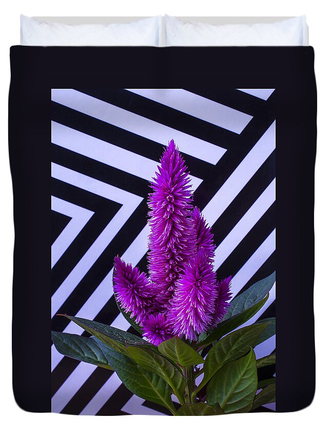 Purple Celosia Duvet Cover featuring the photograph Purple Celosia by Garry Gay