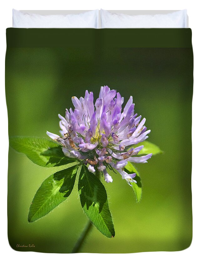 Flower Duvet Cover featuring the photograph Purple Clover Flower Square by Christina Rollo