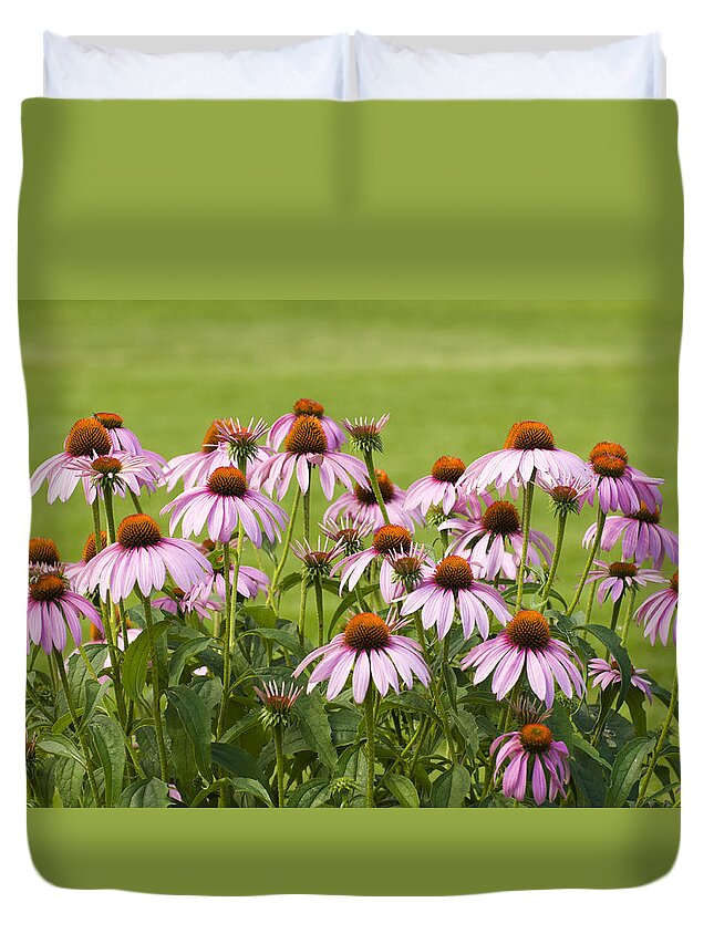 Echinacea Duvet Cover featuring the photograph Purple Cone Flowers by Lynn Hansen