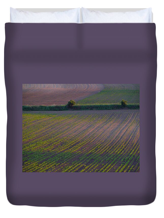Europe Duvet Cover featuring the photograph Purple Fields by Evelyn Tambour