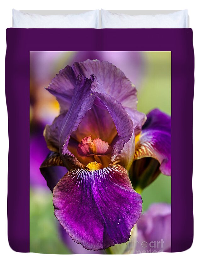 Iris Duvet Cover featuring the photograph Purple Flag by Robert Bales