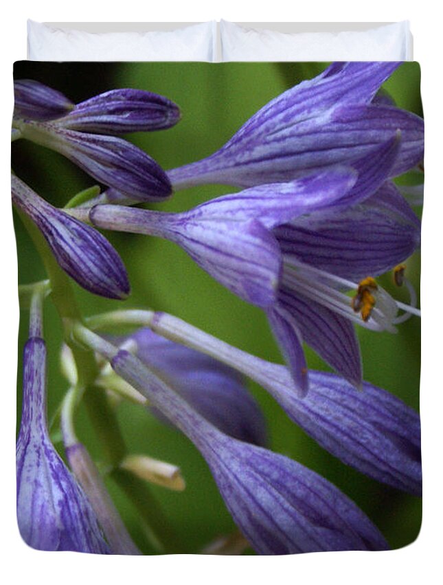 Landscape Duvet Cover featuring the photograph Purple Flowers by Chauncy Holmes