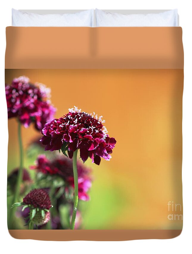 Flowers Duvet Cover featuring the photograph Purple Haze by Margaret Hamilton