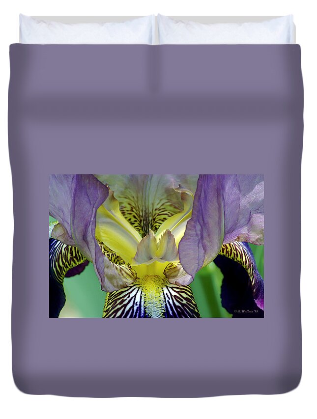 2d Duvet Cover featuring the photograph Purple Iris by Brian Wallace
